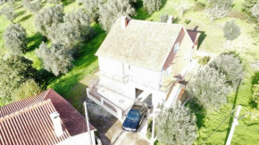 Casa dos Fetos